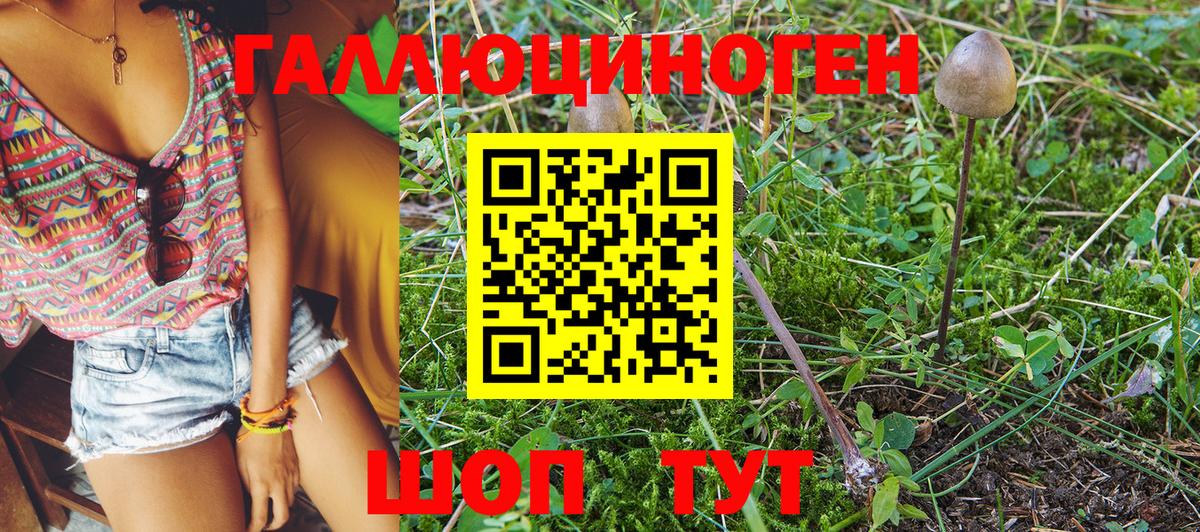 Псилоцибиновые грибы GOLDEN TEACHER Дзержинский